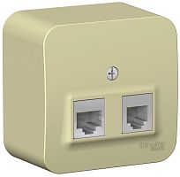 Розетка телефон+компьютер накладная Systeme Electric Blanca 2-м. RJ11+RJ45 5е бежевый картинка